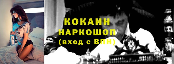 дмт Абаза