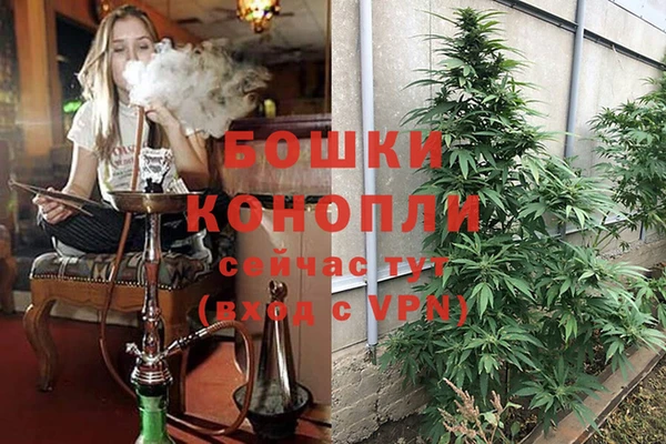 дмт Абаза