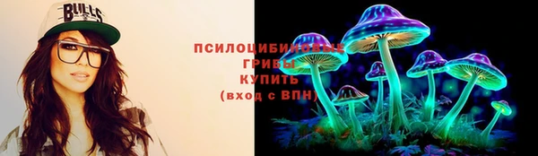 дмт Абаза
