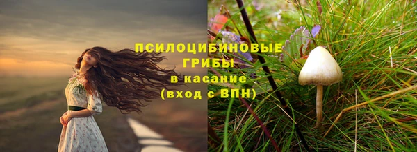 дмт Абаза