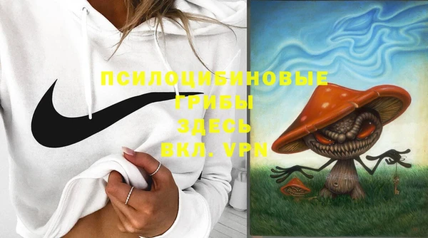твердый Абинск
