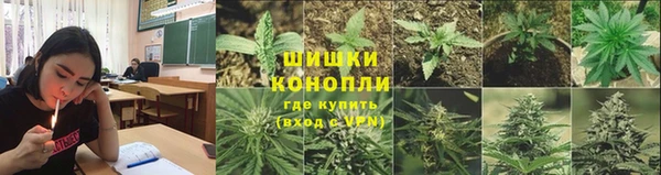 мяу мяу мука Рославль