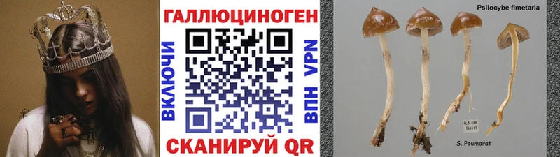 где купить наркотик  Карталы  Псилоцибиновые грибы MAGIC MUSHROOMS 