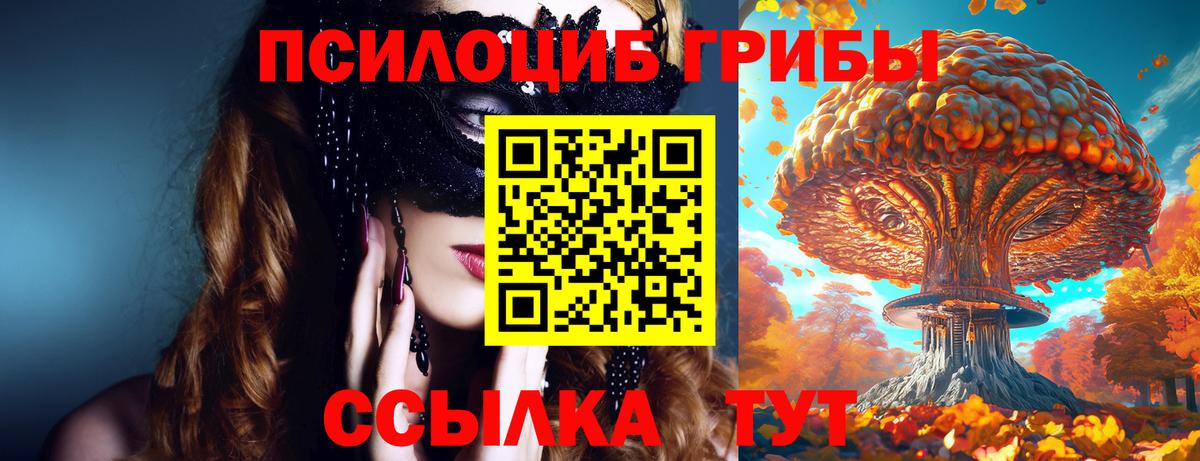 Псилоцибиновые грибы Cubensis  Псилоцибиновые грибы Psilocybe  Вход с VPN  Карталы 