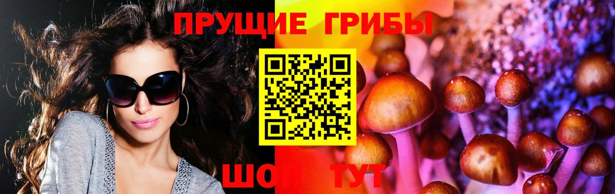 Галлюциногенные грибы мицелий Карталы